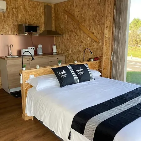 Air Fervenza * Думбрия